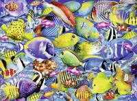 Ravensburger Tropical traffic - obrázek puzzlí