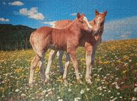 Ravensburger Twins - puzzle image