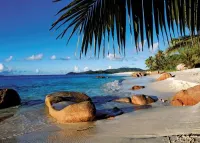 Ravensburger Under the Palms - puzzle image