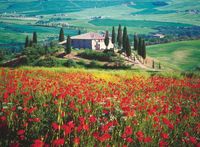 Ravensburger Tuscany, Italy - obrázek puzzlí