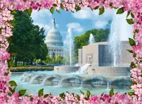 Ravensburger Washington Blossoms - obrázek puzzlí