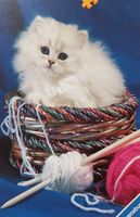 Ravensburger White as Snow - obrázek puzzlí