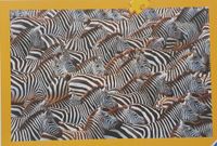 Ravensburger Zebra Crossing - puzzle image