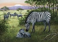 Ravensburger Zebras in the Savannah - puzzle image