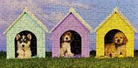 Re-Marks Doghouse - puzzle image