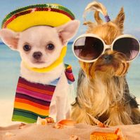 Re-Marks Dogs on Beach - puzzle image