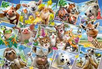 Schmidt Animal Selfies - puzzle image
