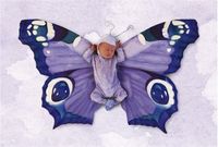 Schmidt Anne Geddes Butterfly - puzzle image