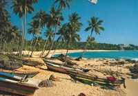 Schmidt Beach - obrázek puzzlí