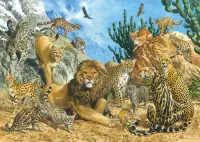 Schmidt Big Cats - obrázek puzzlí