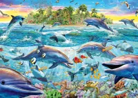 Schmidt Dolphin Reef - puzzle image