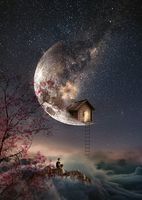 Schmidt Dream Whisper - puzzle image