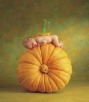 Schmidt Pumpkin Blossom - obrázek puzzlí