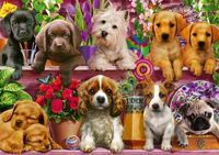 Schmidt Puppies on the Shelf - obrázek puzzlí