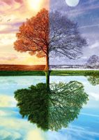 Schmidt The Seasons Tree - obrázek puzzlí