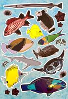 speedpuzzle.eu Hawai'i Reef - puzzle image