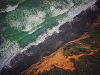 speedpuzzle.eu Waikawau - puzzle image