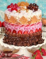 Springbok Icing on the Cake - puzzle image