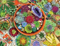 Springbok Succulent Garden - puzzle image