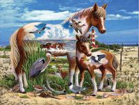 SunsOut Free Spirits of the Coast - obrázek puzzlí