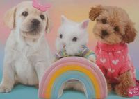 Sure-Lox Rainbow Friends - puzzle image