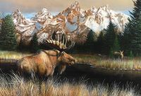 Sure-Lox Wildlife - puzzle image