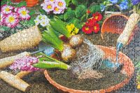 TCG Toys Garden Glory - Puzzlebild