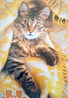 Trefl Cats - puzzle image