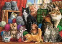 Trefl Feline Meeting - puzzle image
