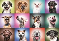 Trefl Funny Dogs Faces - obrázek puzzlí