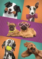 Trefl Funny Dogs - obrázek puzzlí