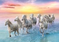 Trefl Galloping White Horses - puzzle image
