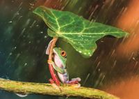 Trefl Green Umbrella - puzzle image