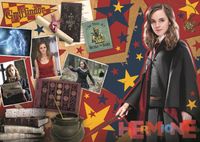 Trefl Harry Potter 3-in-1: Hermione - puzzle image