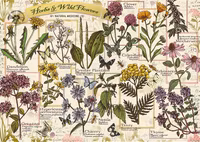 Trefl Herbarium: Medicinal Herbs - obrázek puzzlí