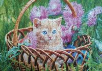 Trefl Kittens - obrázek puzzlí