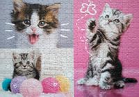 Trefl Kittens - obrázek puzzlí