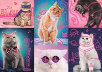 Trefl Neon Color Line - Super Cats - puzzle image