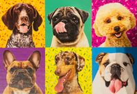 Trefl Puppies 3v1 (limited edition) - obrázek puzzlí