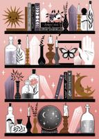 Villager Puzzles Mystic Bookshelf - obrázek puzzlí