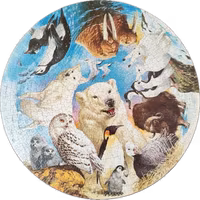 Waddingtons Polar Circles - puzzle image