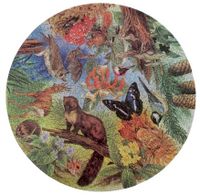 Waddingtons Woodland Wildlife - obrázek puzzlí