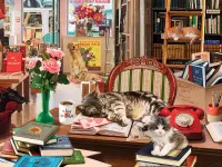 White Mountain Cozy Bookshop - obrázek puzzlí