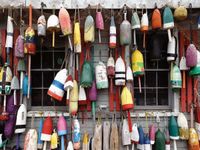 White Mountain Lobster Buoys - obrázek puzzlí