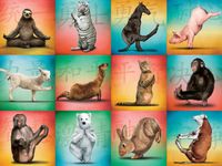 Willow Creek Press Animal Yoga - obrázek puzzlí