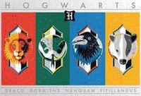 Winning Moves Harry Potter House Crests - puzzle image