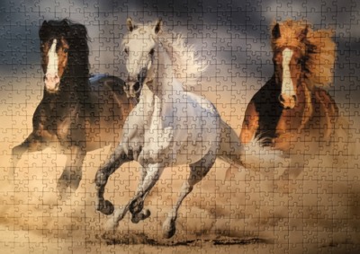 Trefl Herd of wild horses - puzzle image