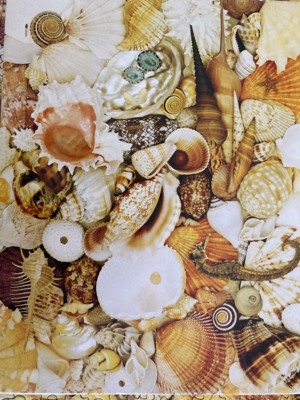 Springbok Sea treasures - obrázek puzzlí