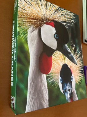 Springbok Crowned Cranes - obrázek puzzlí