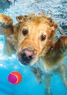 Buffalo Games Fetch! - obrázek puzzlí